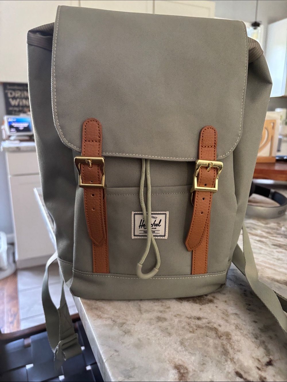 Herschel Supply Company Light Green Backpack with Brown Trim